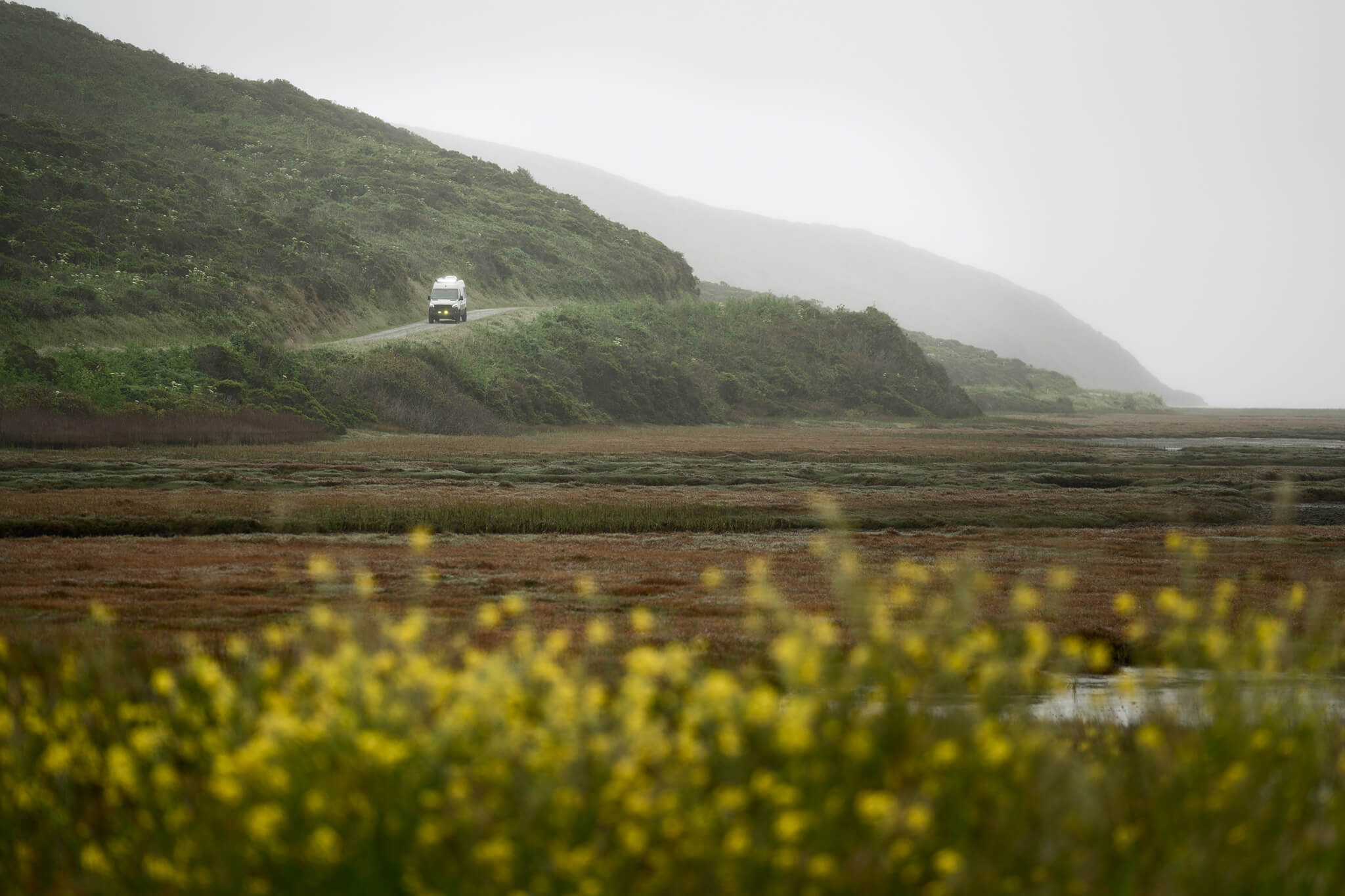Point Reyes Park