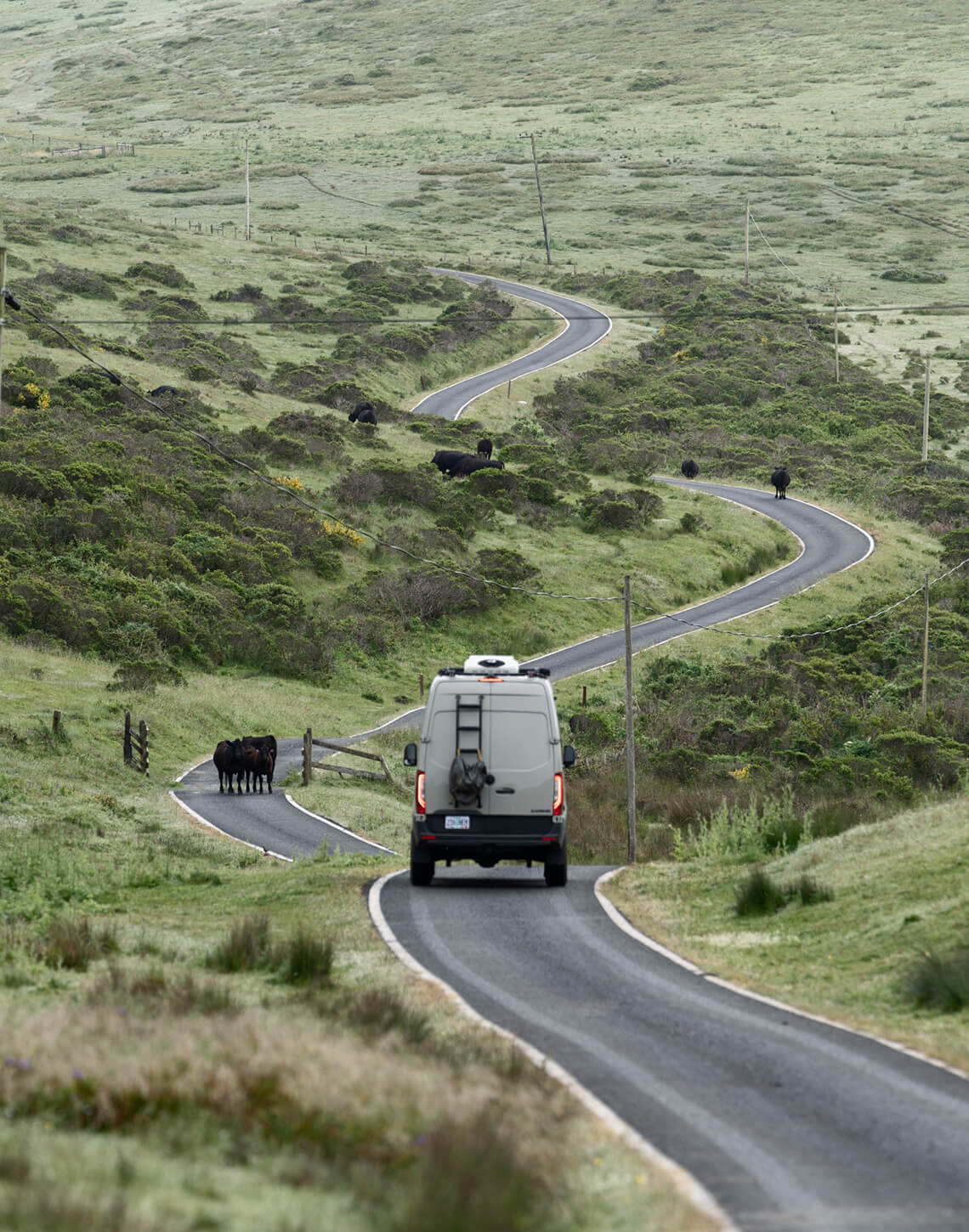 Point Reyes Roadway