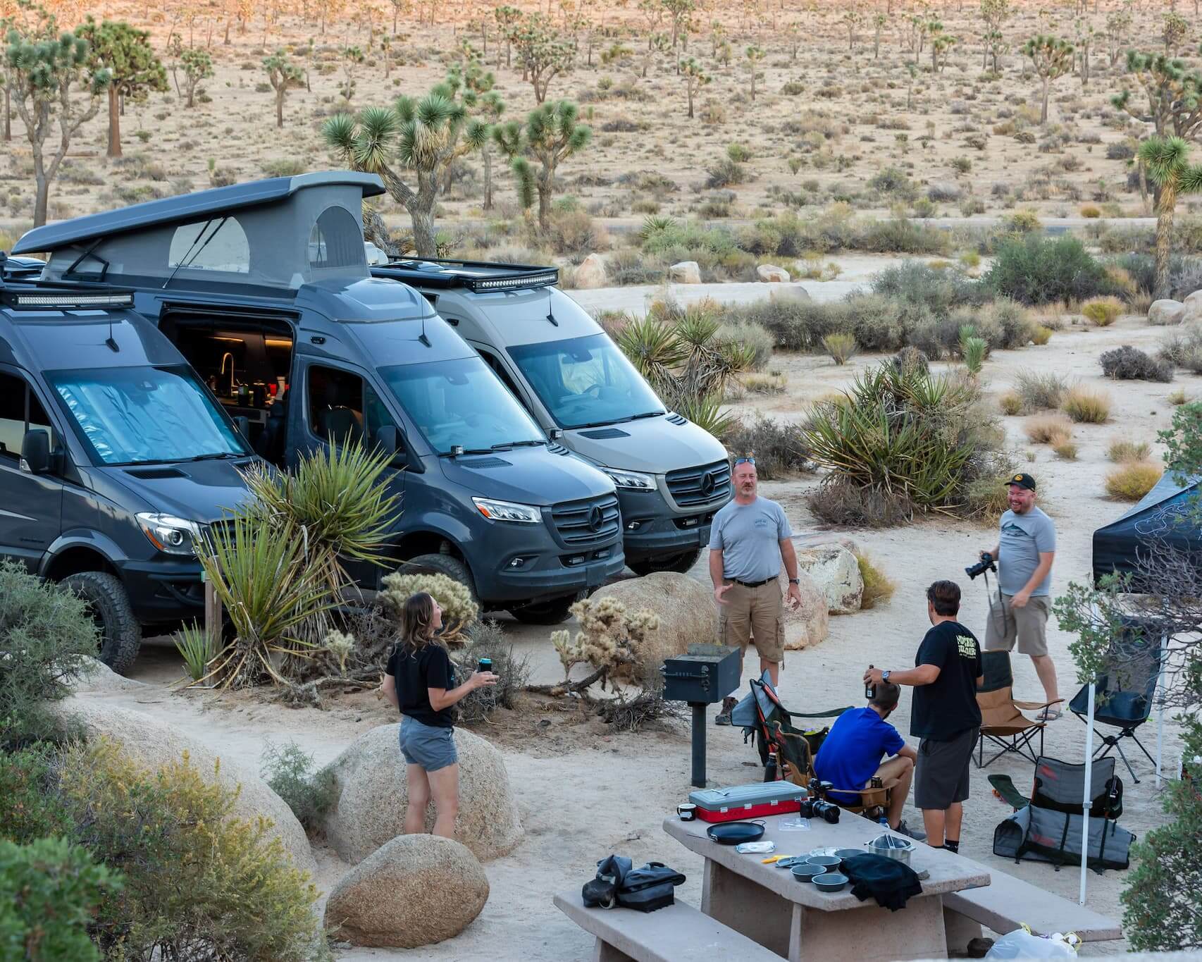 Van Life Camping in Joshua tree